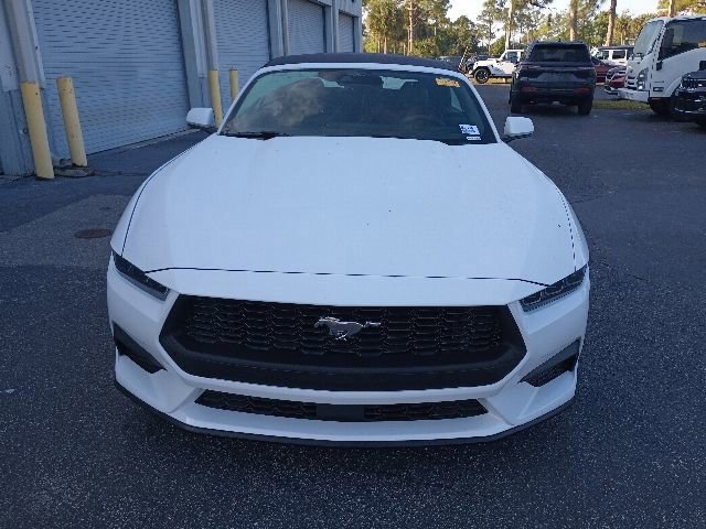 Used 2025 Ford Mustang Premium