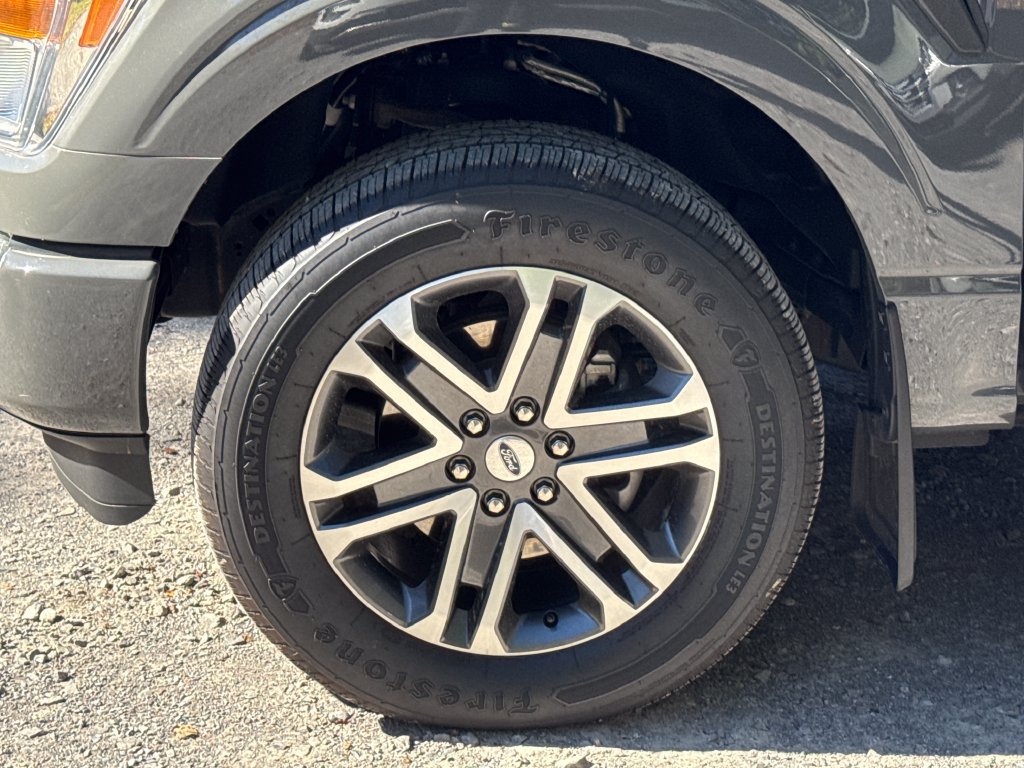 Used 2021 Ford F150 XL w/ STX Appearance Package AWD/4WD image 22