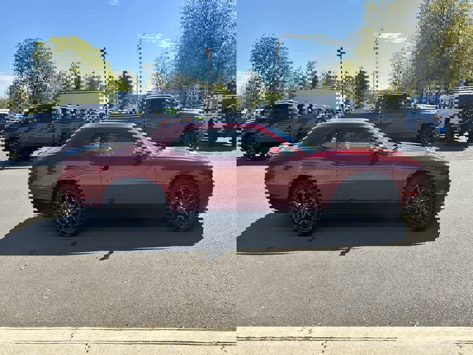 Used 2019 Dodge Challenger SXT w/ Plus Package image 6