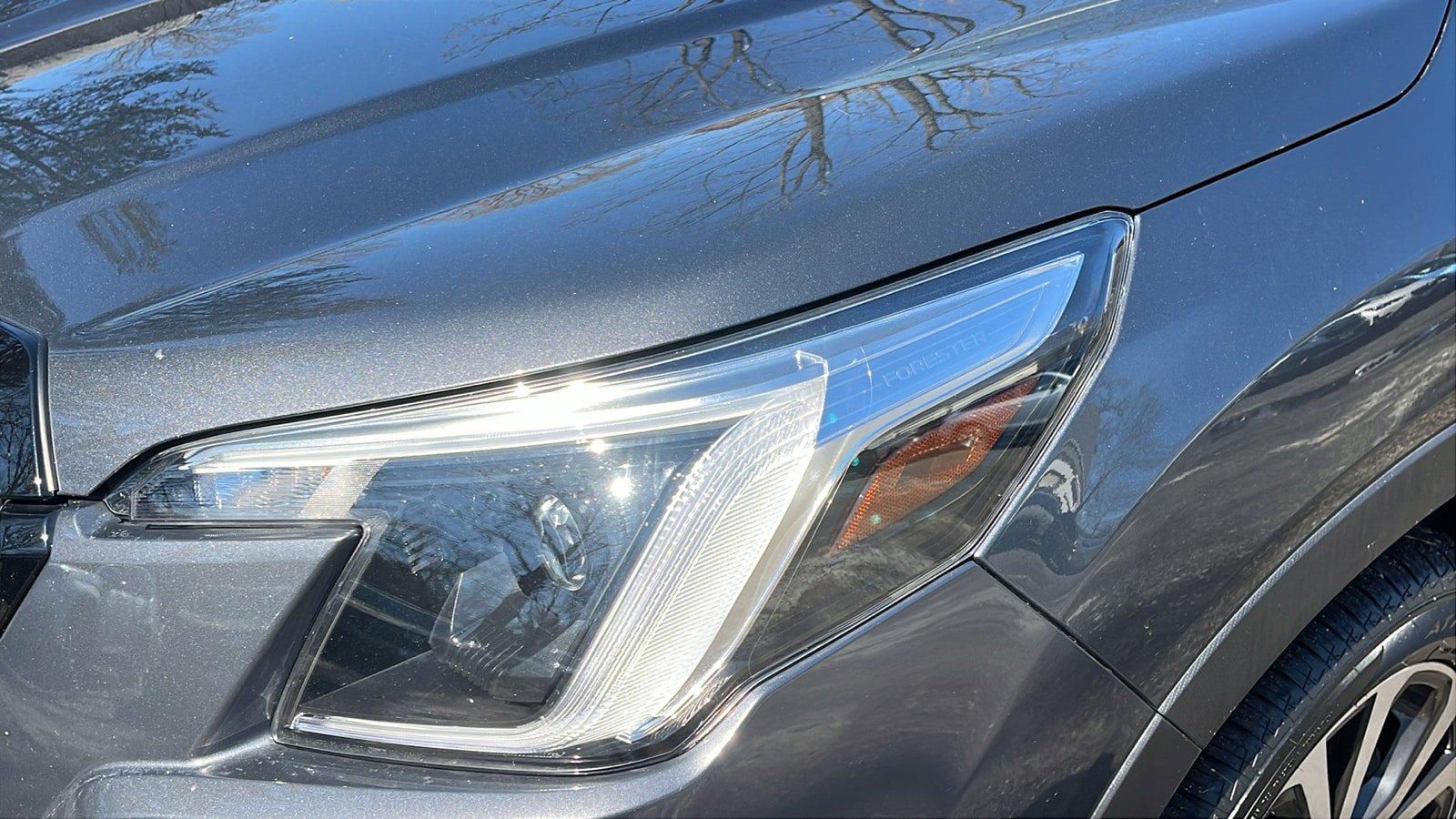 Certified 2023 Subaru Forester Limited image 8