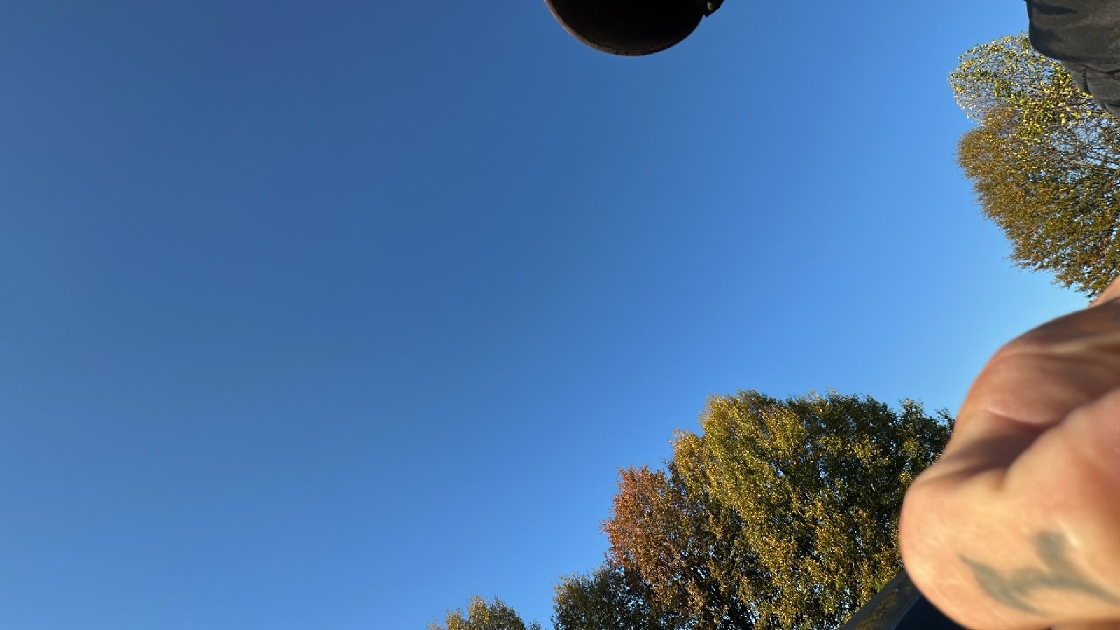 Used 2019 Ford Mustang GT Premium w/ Equipment Group 401A image 32