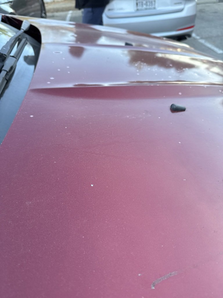 Used 2013 Ford Escape Titanium image 21