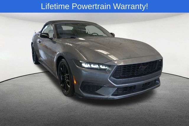 New 2026 Ford Mustang Premium w/ Mustang Nite Pony Package RWD image 15