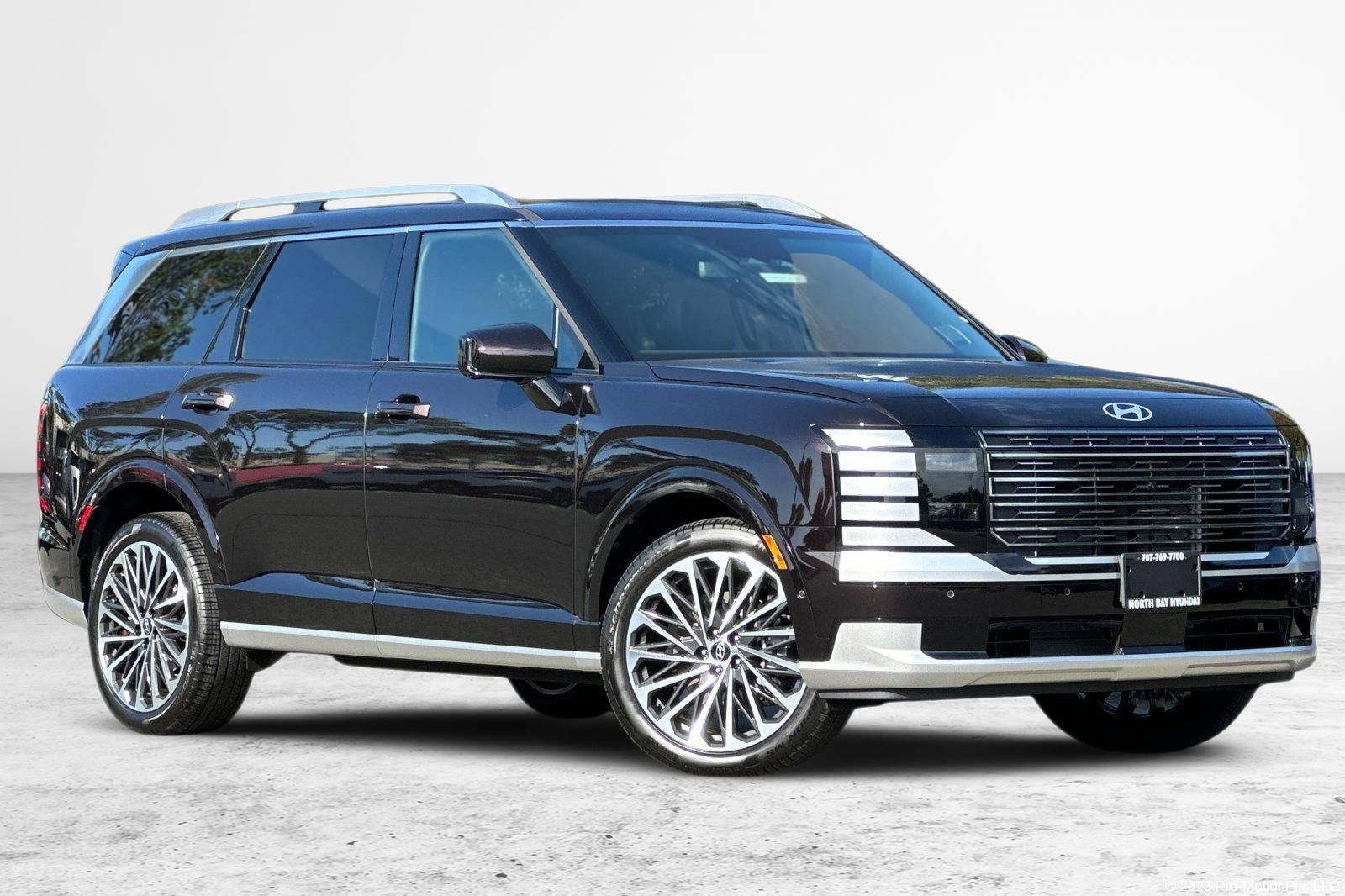 New 2026 Hyundai Palisade Calligraphy AWD/4WD video 1