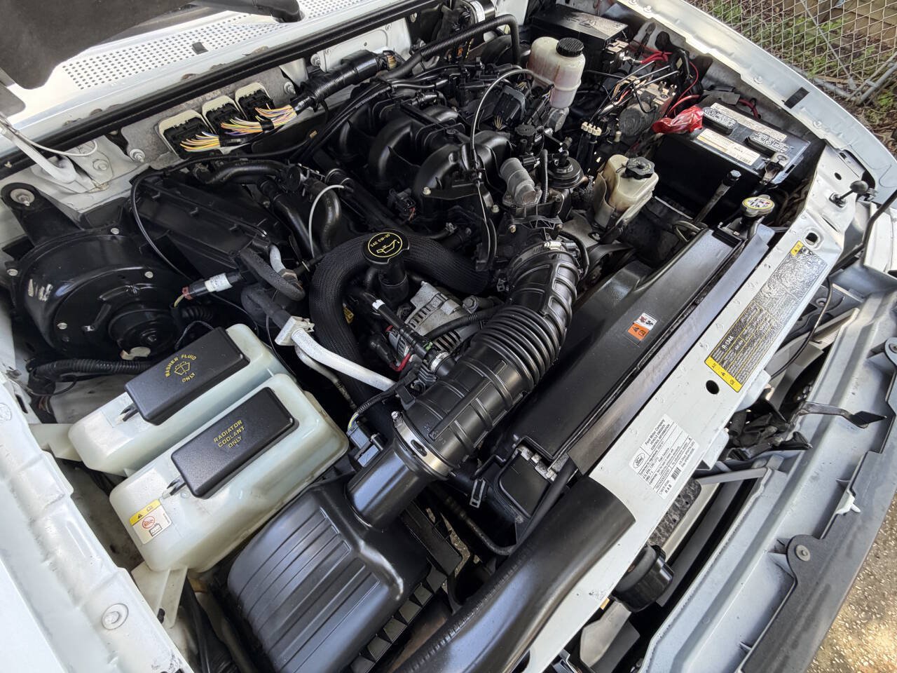 Used 2008 Ford Ranger XL AWD/4WD image 17