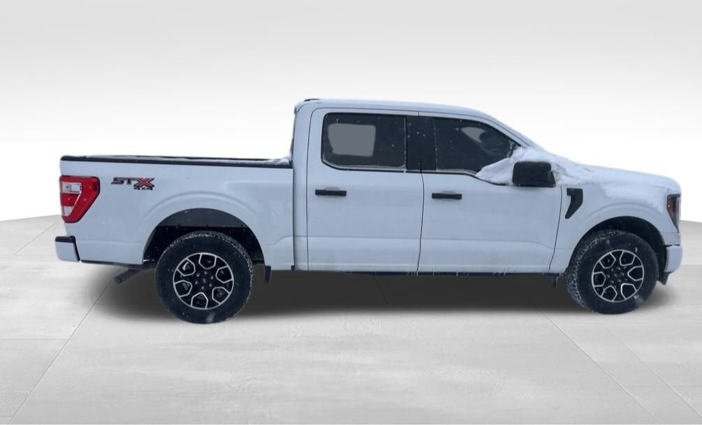 Used 2023 Ford F150 XL w/ XL STX Apperance Package image 7