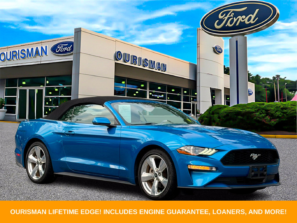 Used 2019 Ford Mustang Premium w/ Equipment Group 201A