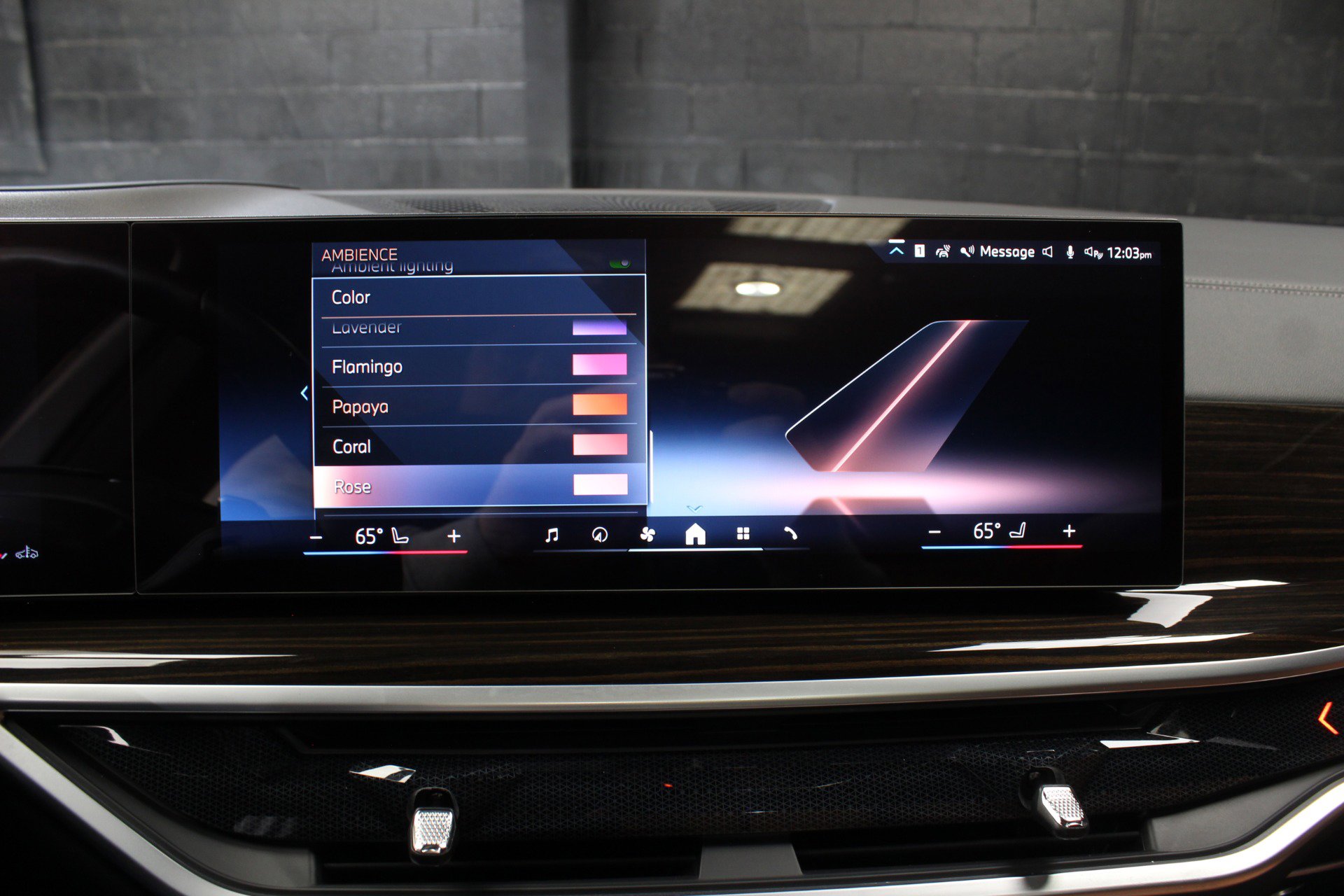 Used 2024 BMW X5 sDrive40i w/ Premium Package image 73