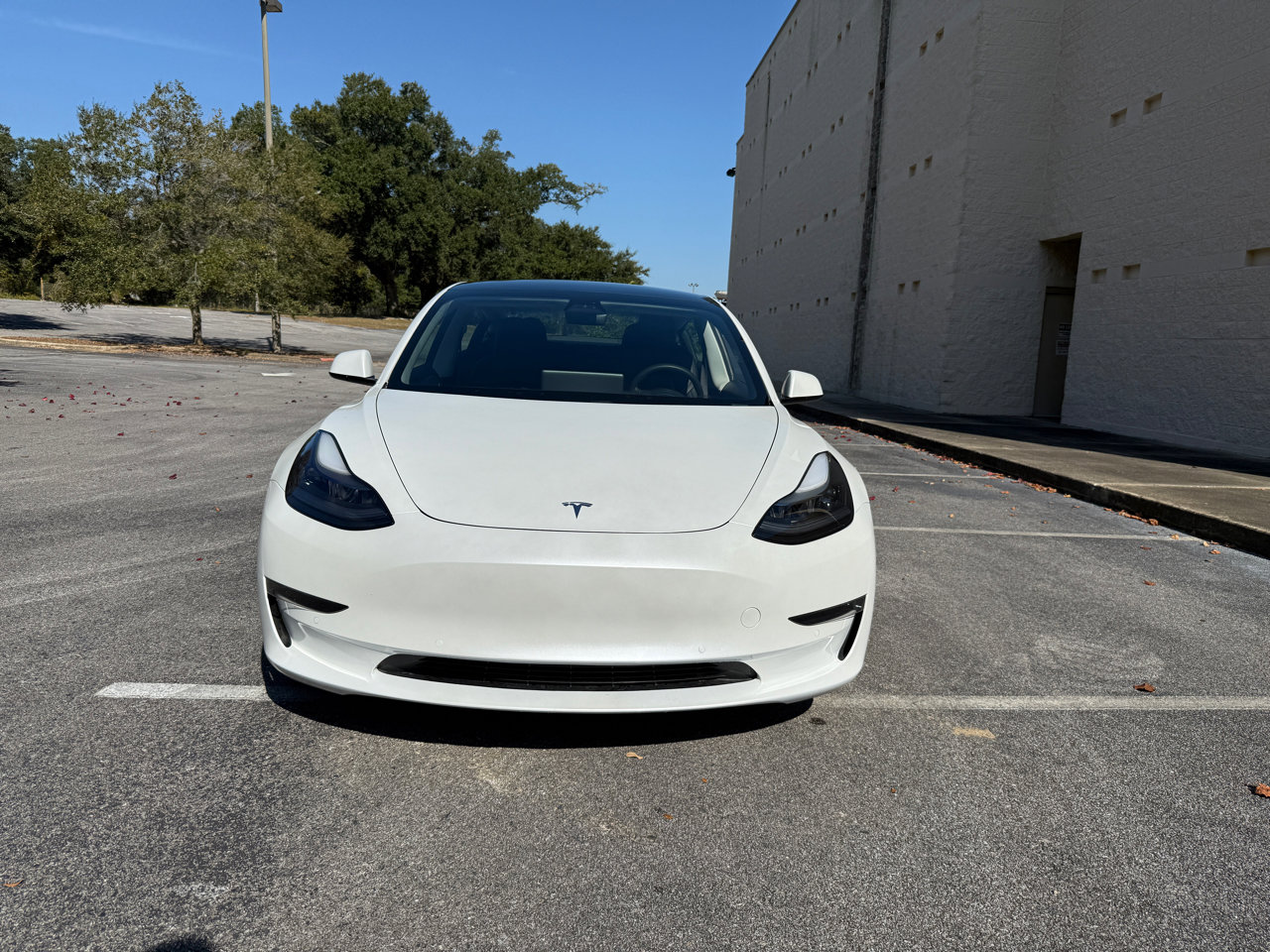 Used 2021 Tesla Model 3 Standard Range Plus image 3