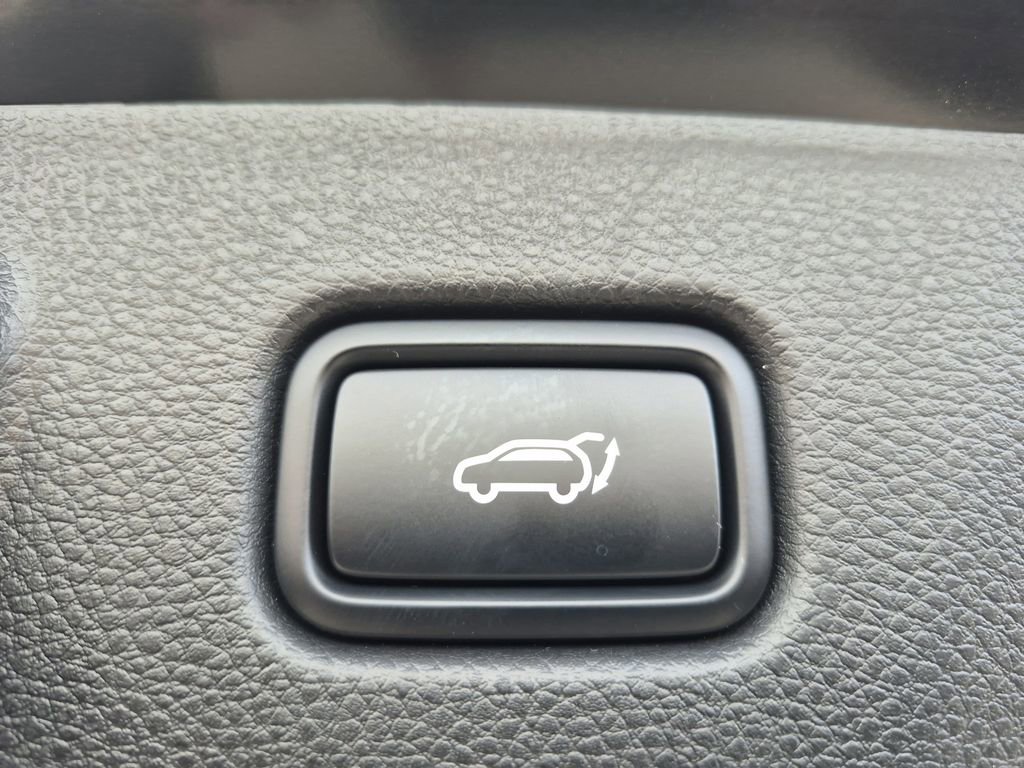 New 2026 Kia Seltos SX w/ SX Sunroof Package image 15