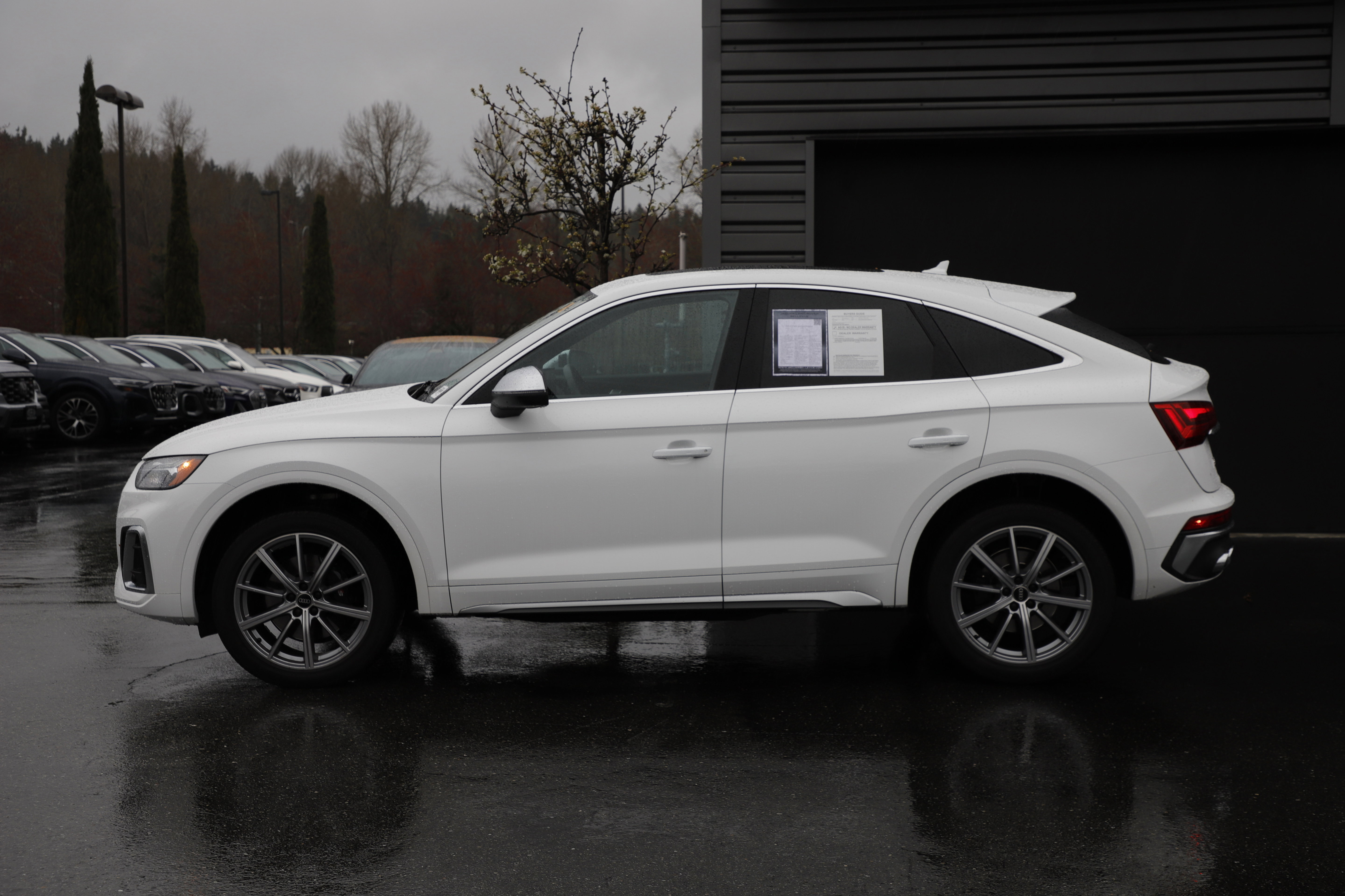 Used 2023 Audi SQ5 Premium Plus w/ Premium Plus Package AWD/4WD image 5