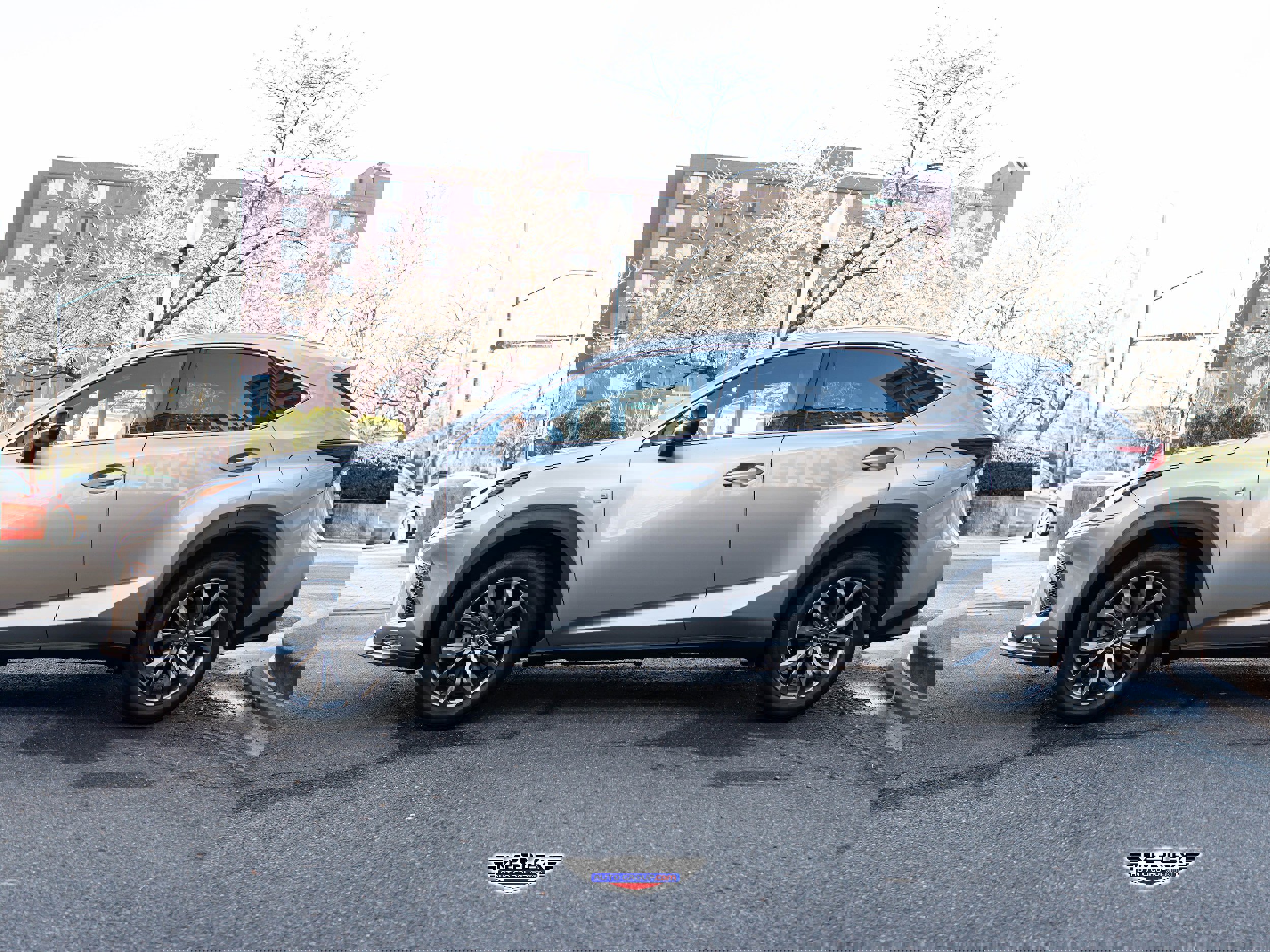 Used 2020 Lexus NX 300 F Sport w/ F Sport Premium Package image 4