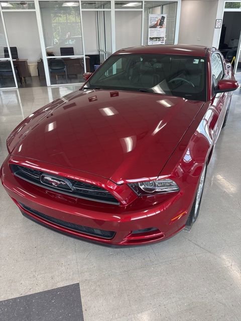 Used 2014 Ford Mustang Premium w/ Equipment Group 202A RWD image 2