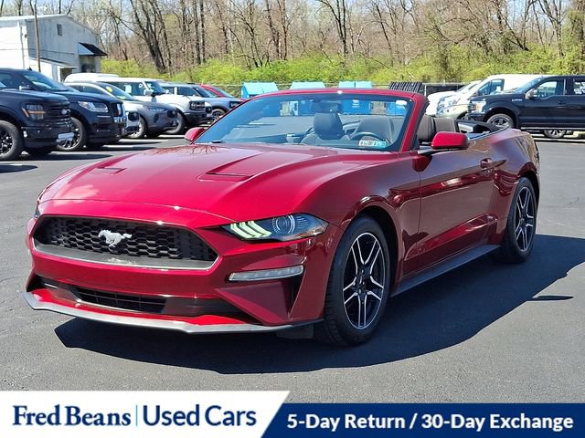 Certified 2019 Ford Mustang Convertible w/ Equipment Group 101A image 4
