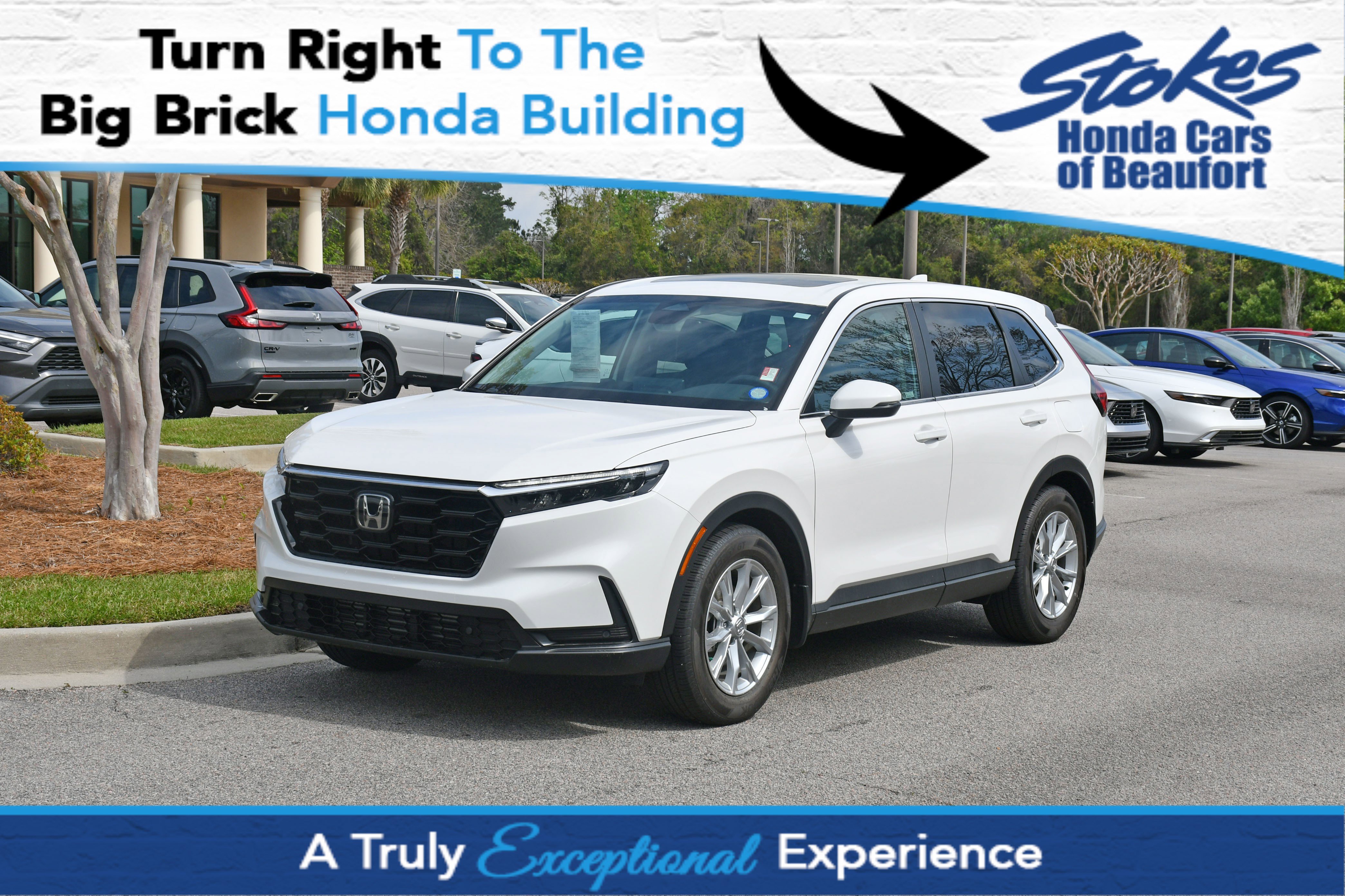 Certified 2024 Honda CR-V EX-L image 1