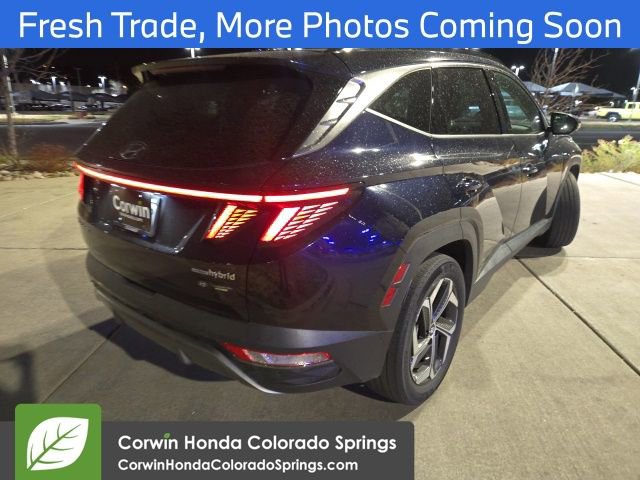 Used 2023 Hyundai Tucson Limited image 7