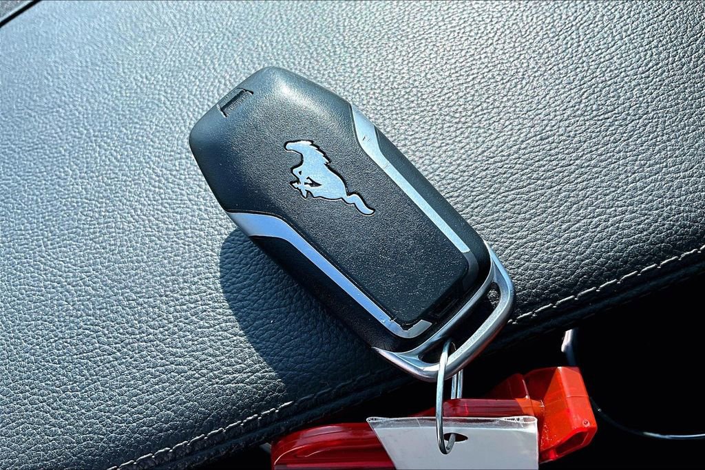 Used 2016 Ford Mustang Premium w/ Equipment Group 201A RWD image 13