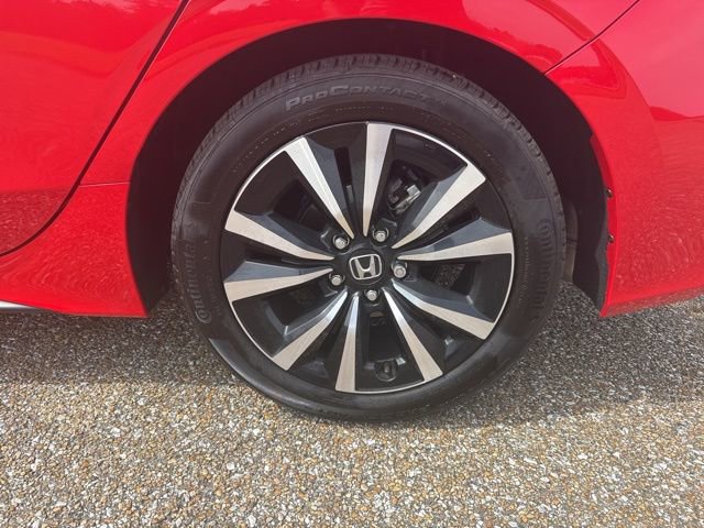 Used 2024 Honda Civic EX-L image 9