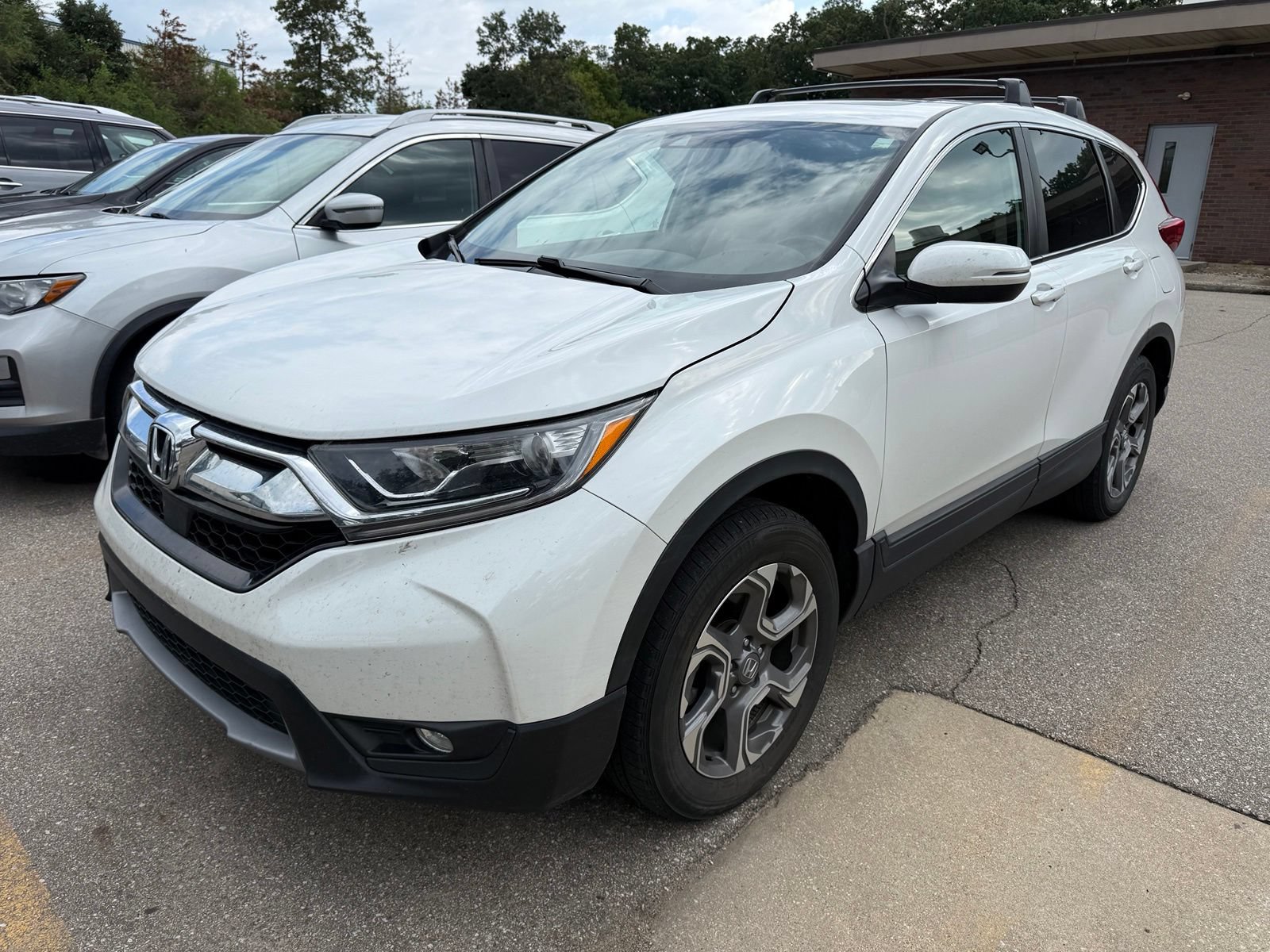 Used 2019 Honda CR-V EX-L image 5