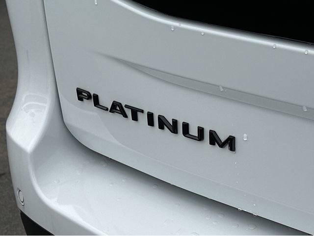 New 2026 Ford Expedition Platinum w/ Stealth Performance Package image 42