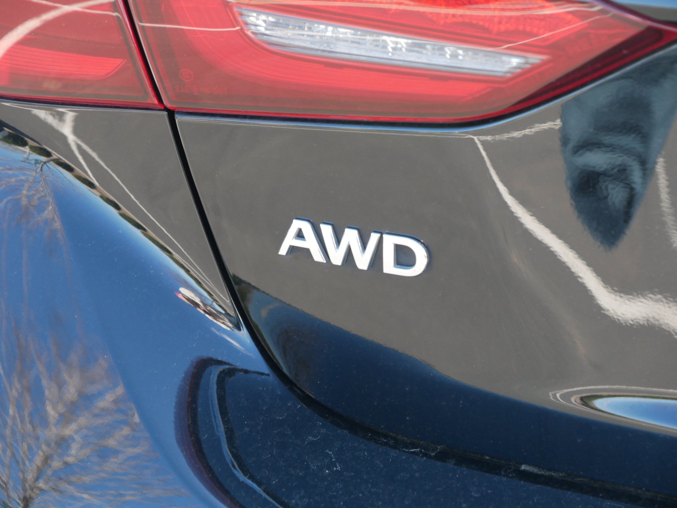 Certified 2023 INFINITI Q50 Sensory image 6