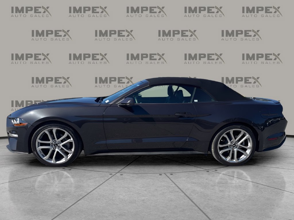Used 2022 Ford Mustang Premium w/ Equipment Group 201A RWD image 3