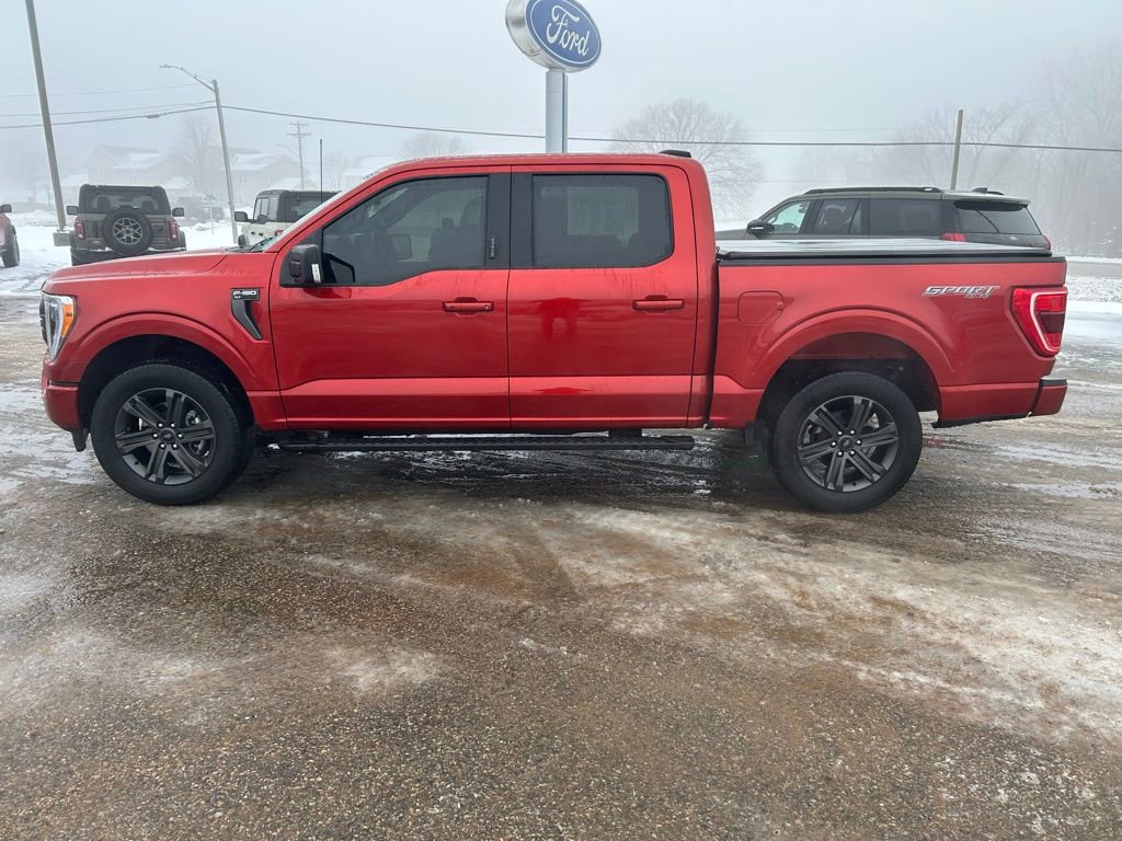 Used 2023 Ford F150 XLT w/ Equipment Group 302A High image 4