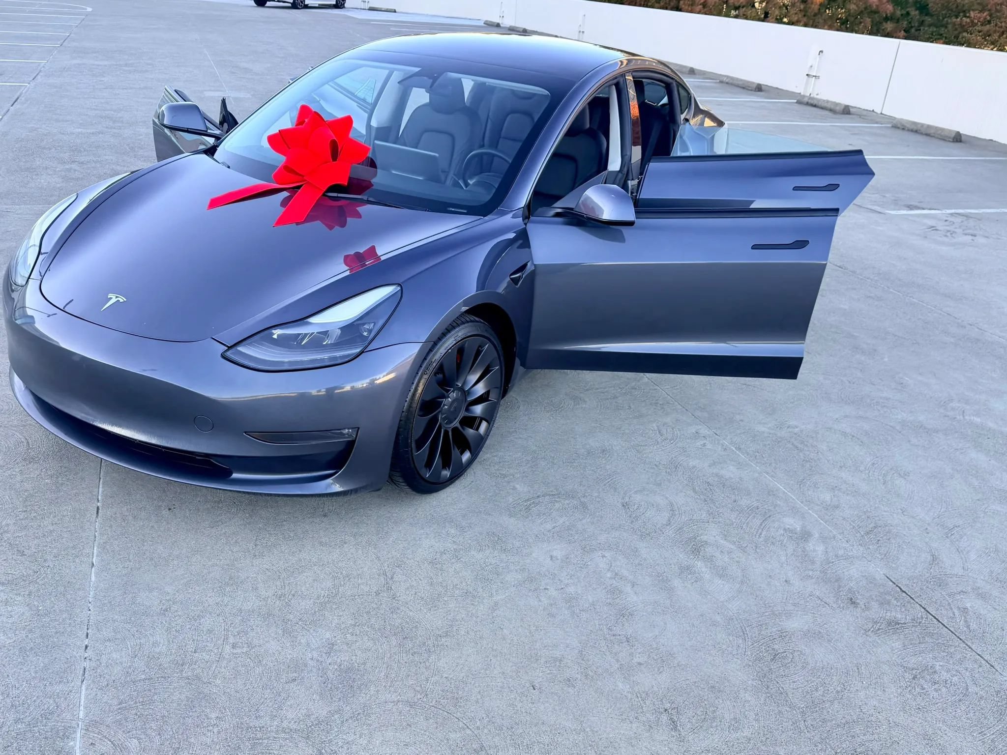 Used 2023 Tesla Model 3 Performance AWD/4WD image 25