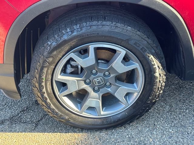 Used 2023 Honda Passport TrailSport image 2