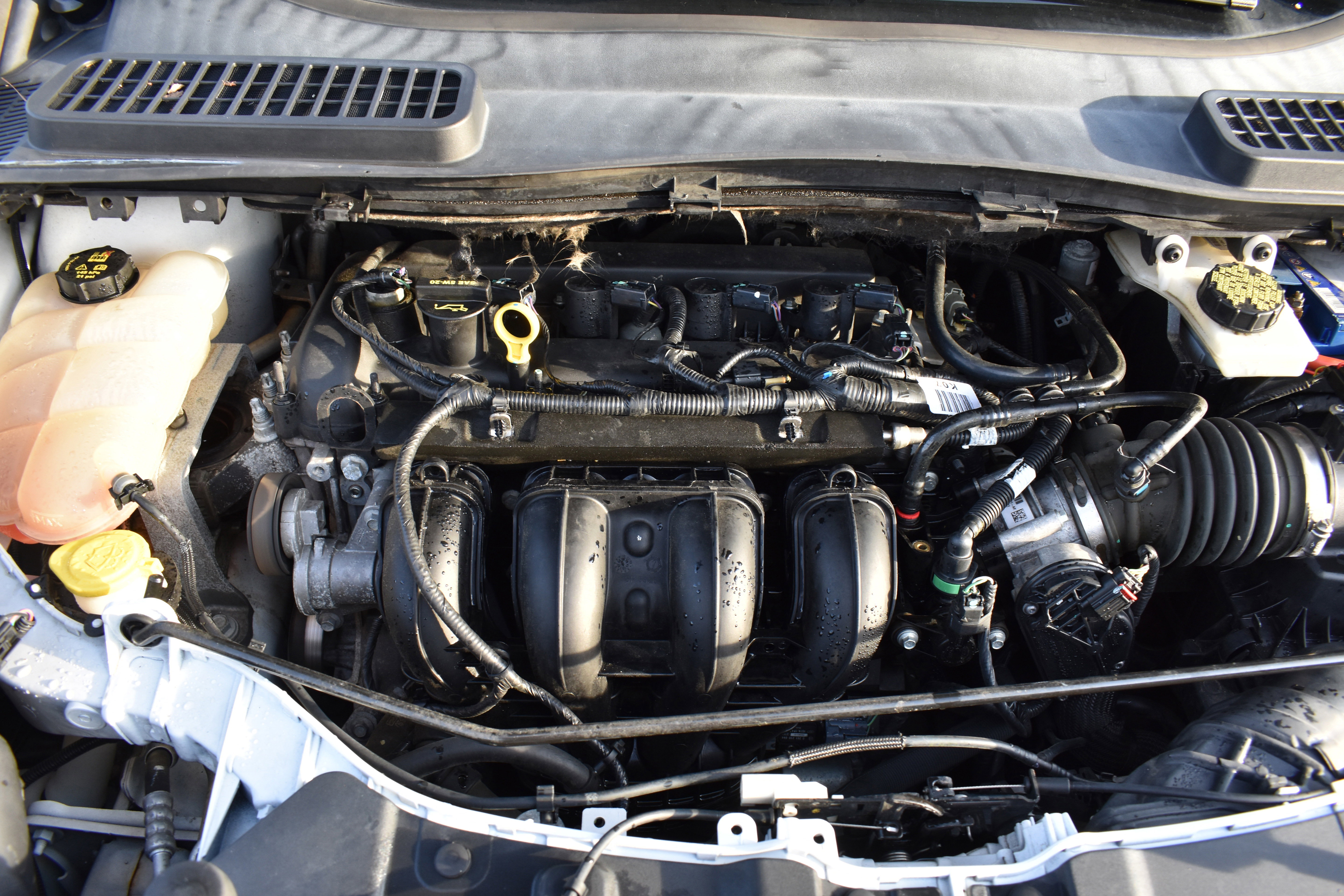 Used 2016 Ford Escape S image 33