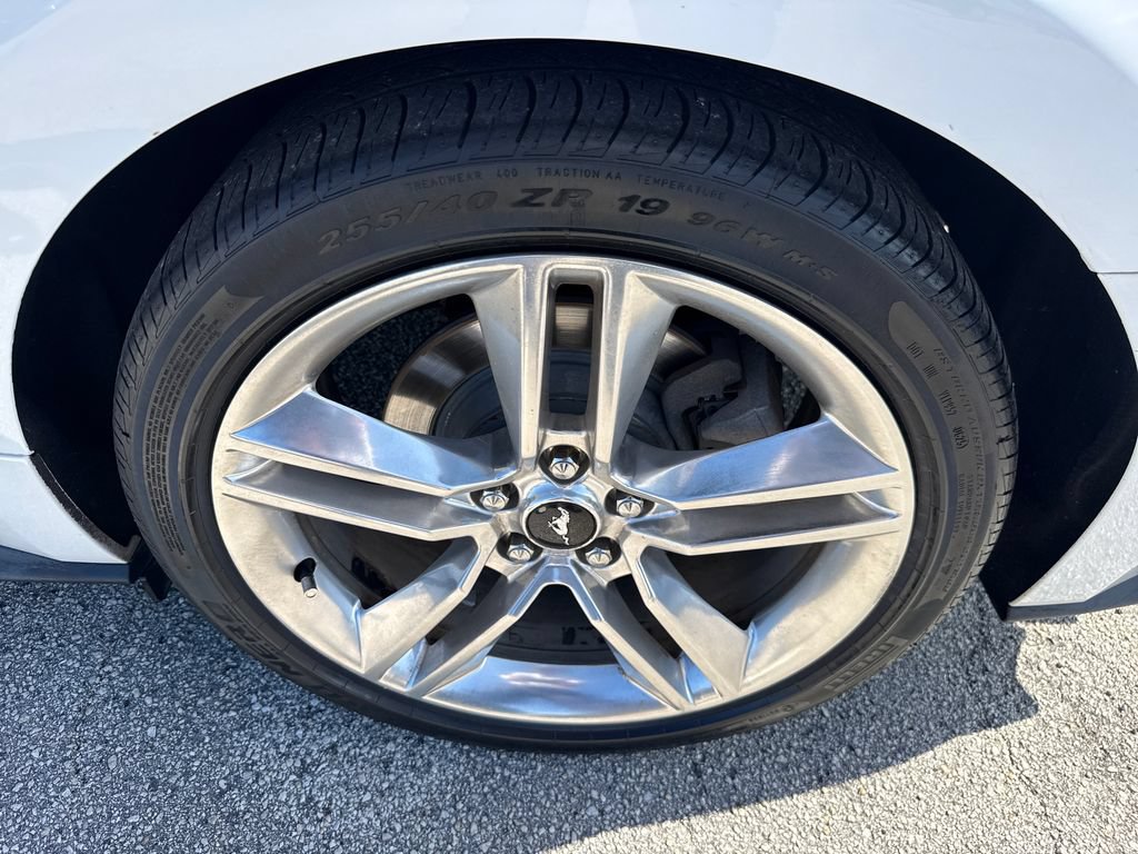 Certified 2019 Ford Mustang Premium w/ Equipment Group 201A RWD image 13