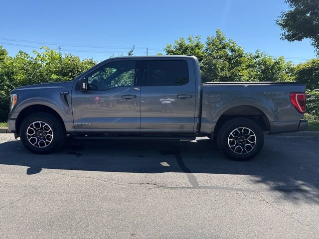 Used 2023 Ford F150 XLT w/ Equipment Group 302A High AWD/4WD image 5