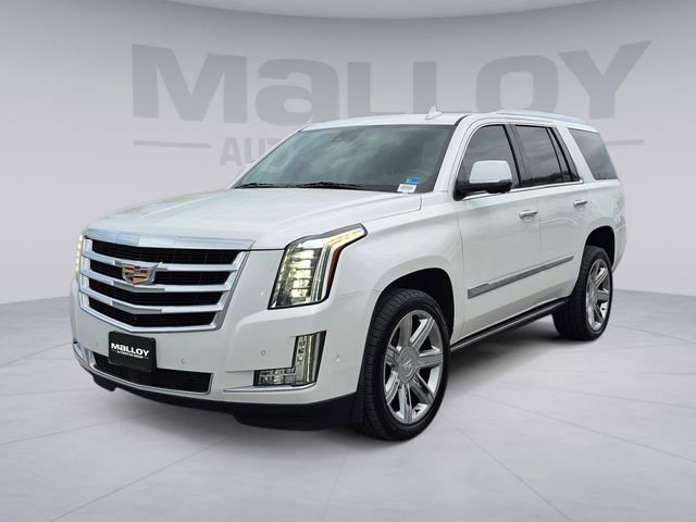 Used 2020 Cadillac Escalade Premium Luxury image 1