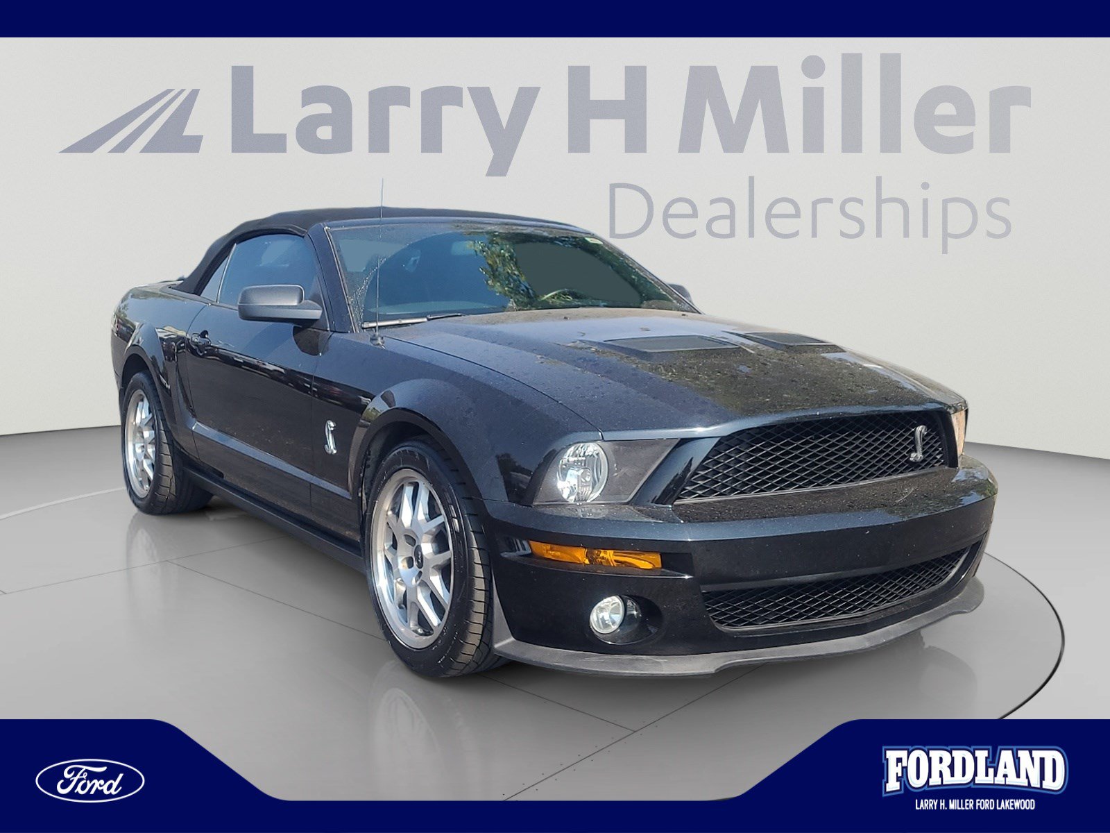 Used 2008 Ford Mustang Shelby GT500 RWD image 7