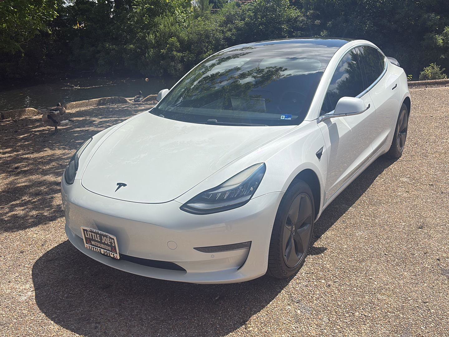 Used 2019 Tesla Model 3 Standard Range RWD image 12