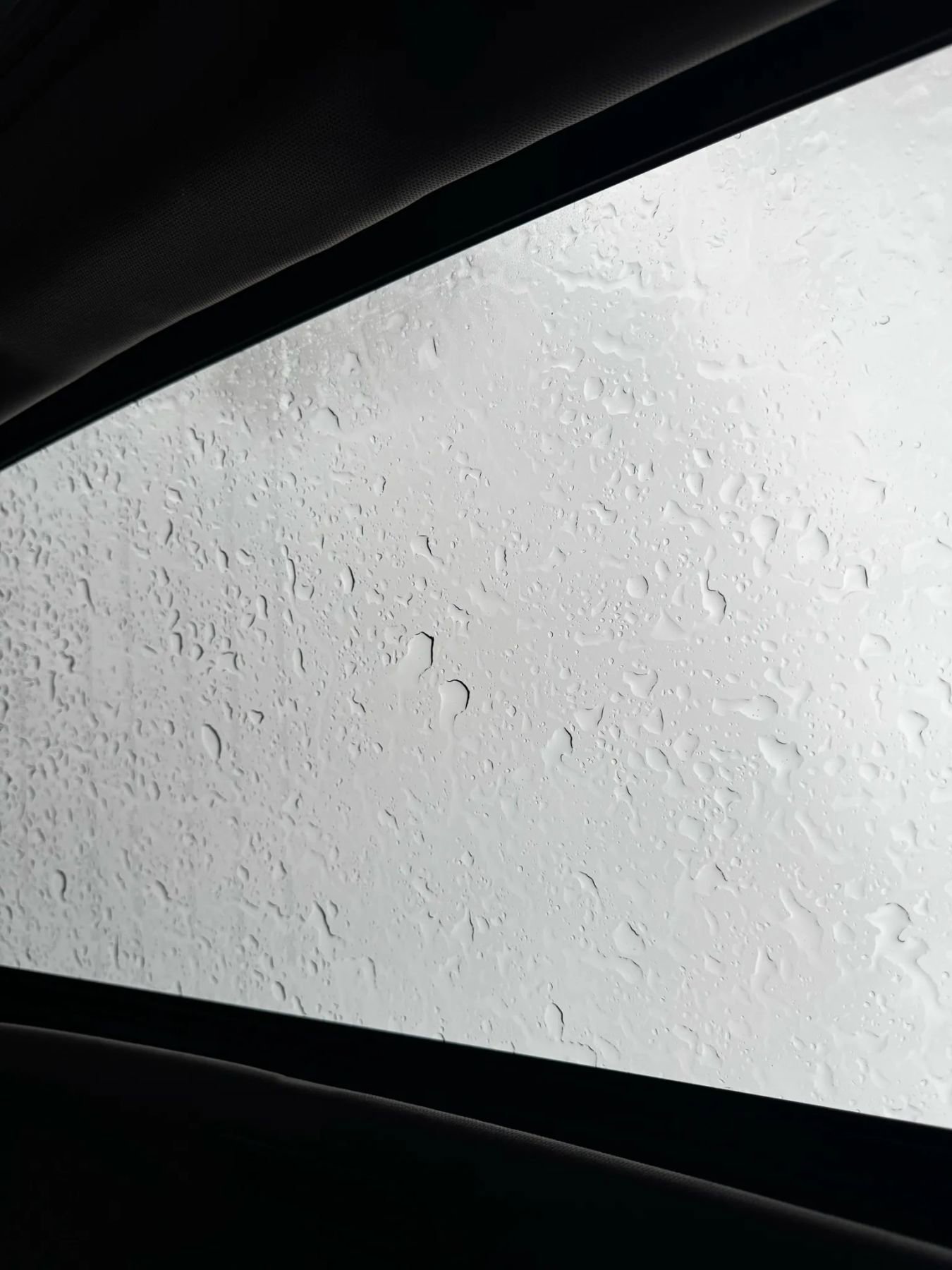 Used 2011 Honda Ridgeline RTL image 19