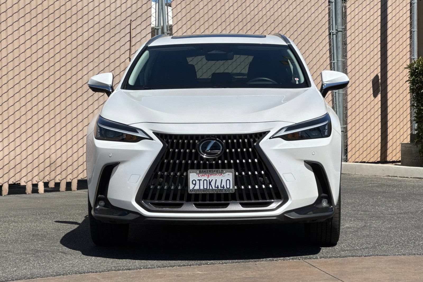 Certified 2025 Lexus NX 350h AWD w/ Cold Area Package image 10