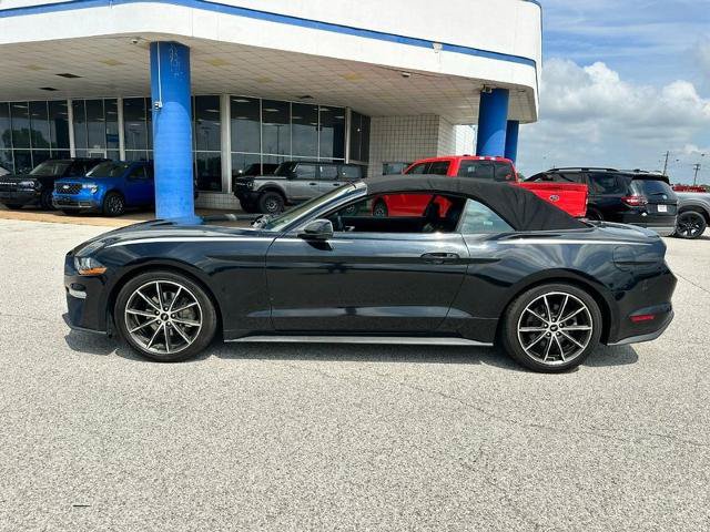 Certified 2019 Ford Mustang Premium w/ Equipment Group 201A RWD image 2