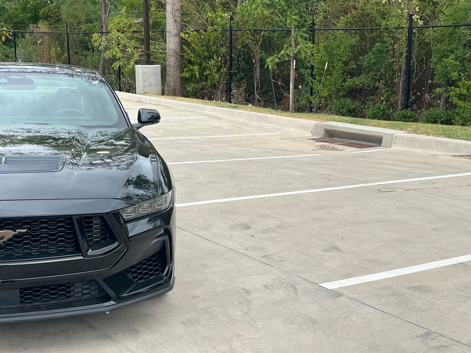 Used 2025 Ford Mustang GT Premium RWD image 3