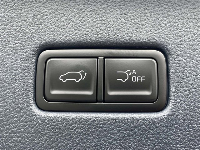 New 2026 Kia Carnival SX Prestige image 19