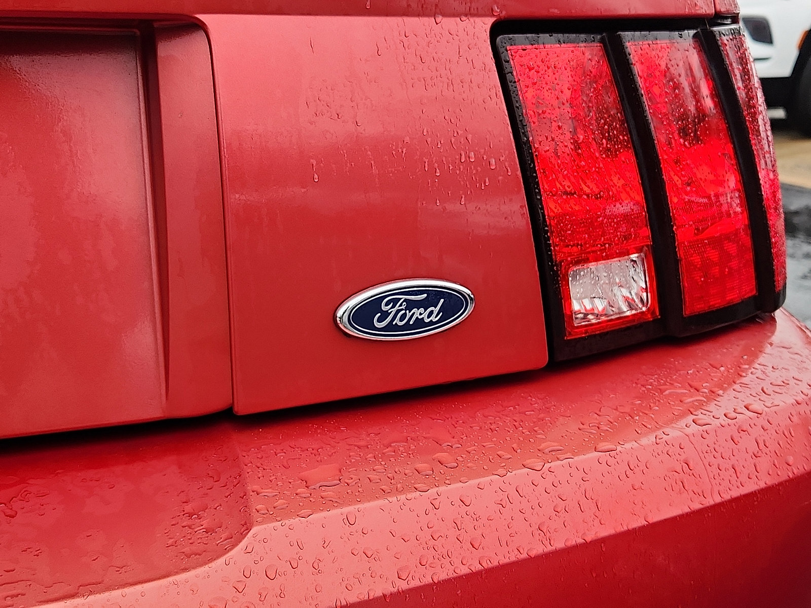 Used 1999 Ford Mustang Coupe image 36