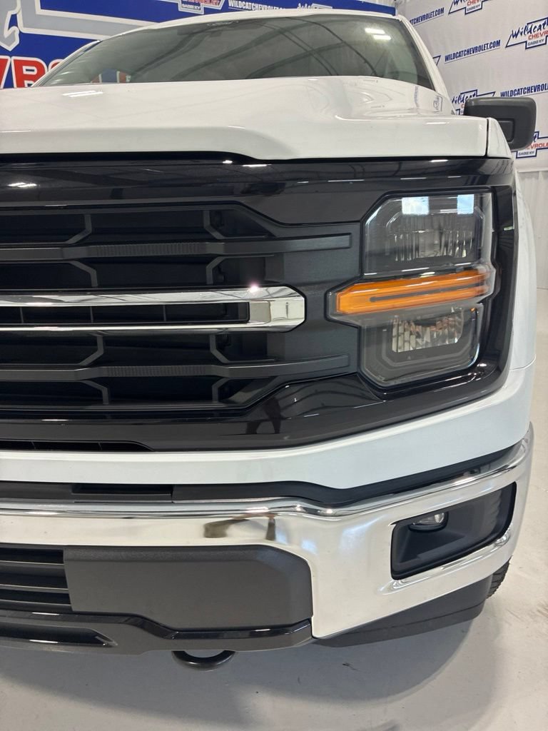 Used 2025 Ford F150 XLT w/ Equipment Group 301A Standard AWD/4WD image 12
