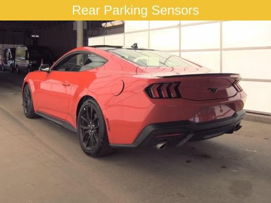Used 2025 Ford Mustang Premium RWD image 5