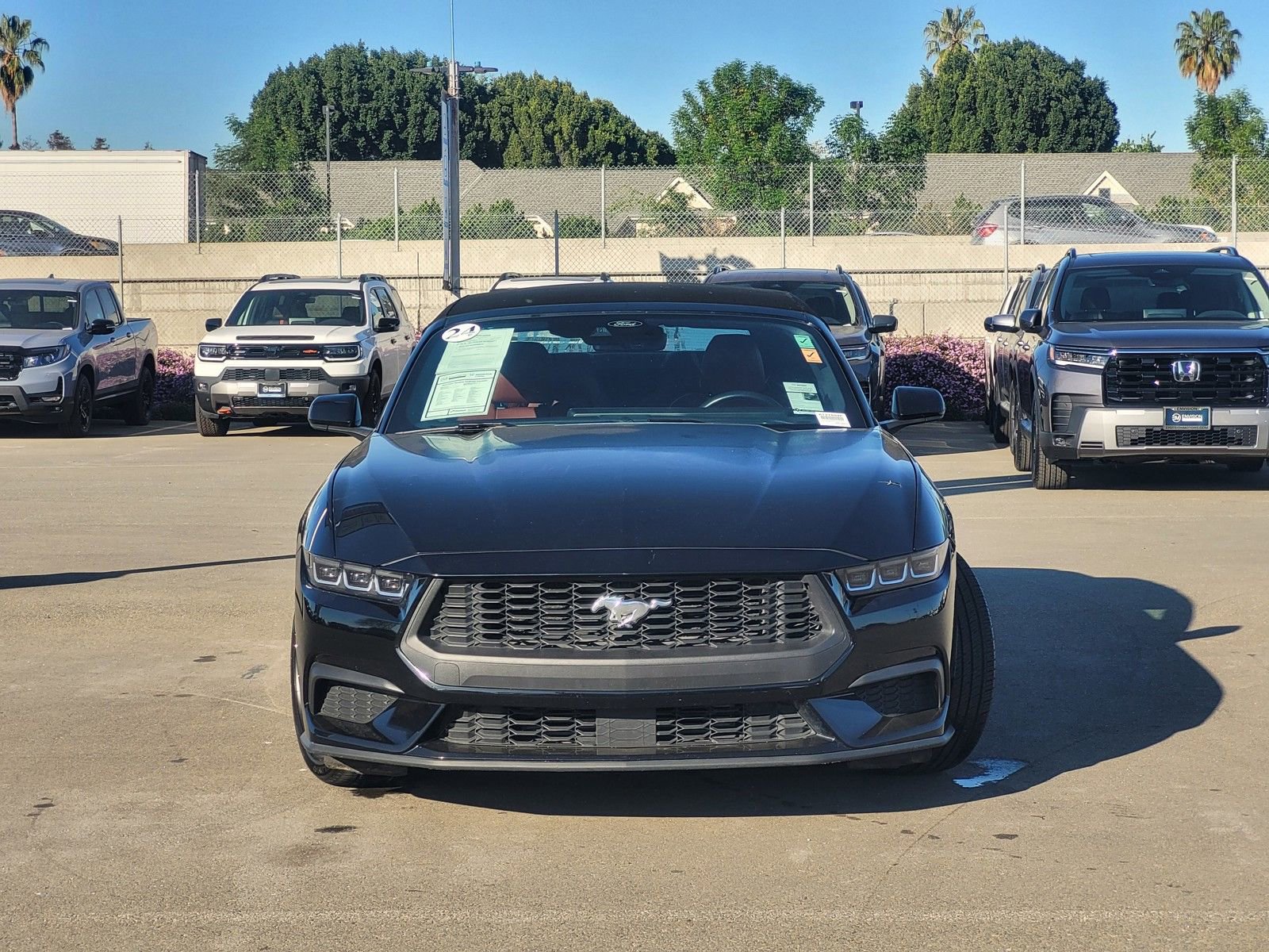 Used 2024 Ford Mustang Premium image 2