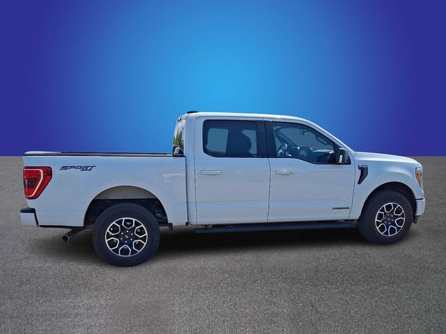 Used 2023 Ford F150 XLT w/ Equipment Group 302A High AWD/4WD image 3
