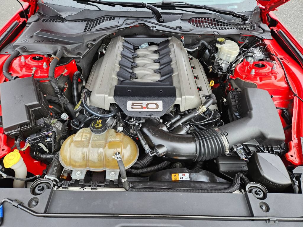 Used 2015 Ford Mustang GT RWD image 11