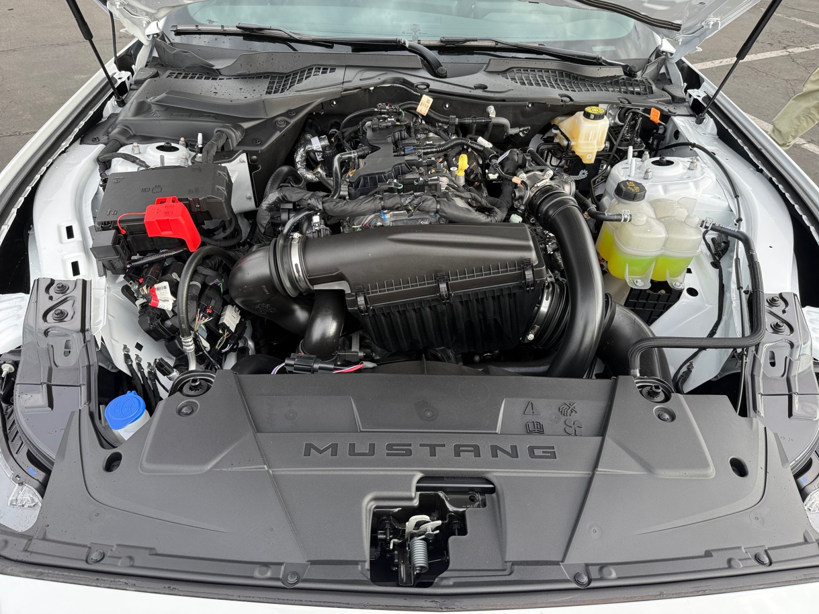 New 2026 Ford Mustang Coupe RWD image 20