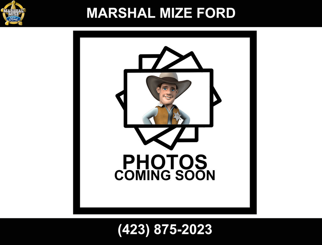 Used 2017 Ford F150 XLT w/ Equipment Group 302A Luxury AWD/4WD image 1