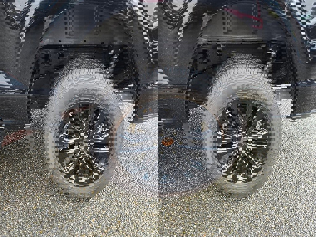 New 2025 Ford F150 XLT w/ Equipment Group 302A MID image 9