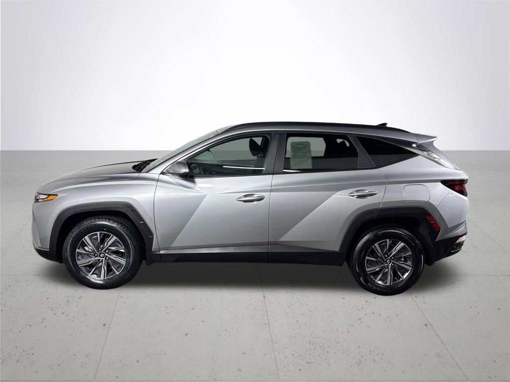 Used 2024 Hyundai Tucson Blue image 9